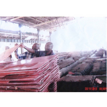 Copper Cathode Grade a 99.99%Min